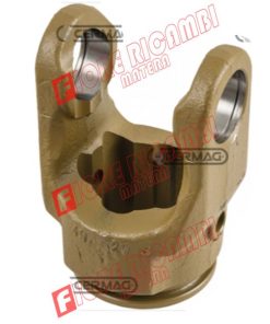 31884 FORCELLA